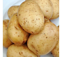 Картофель семенной Удача (Элита) (2кг)