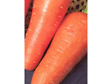 Морковь (124)